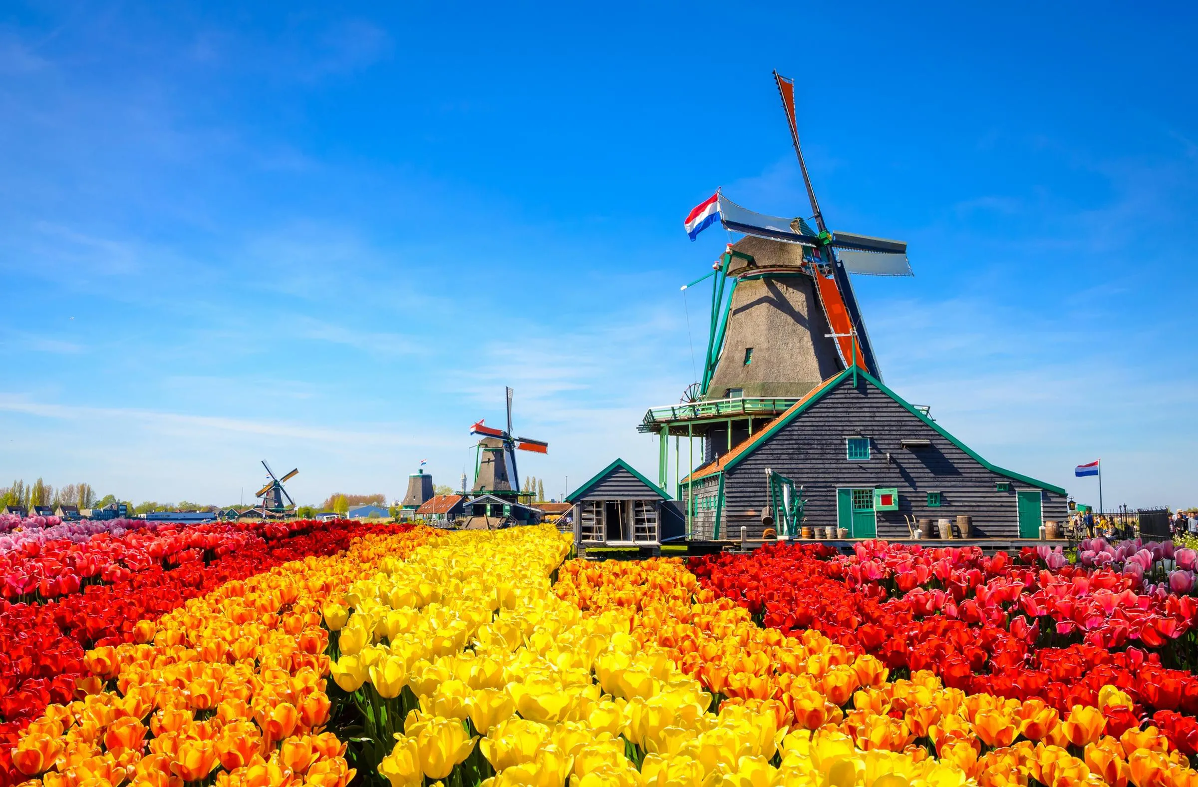 holanda